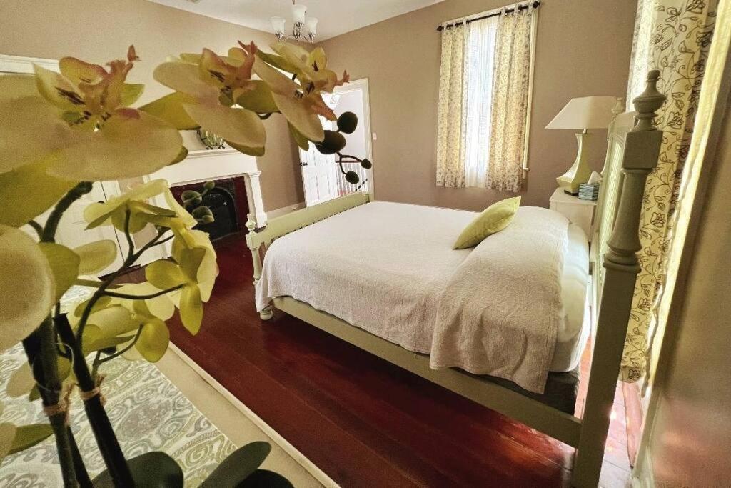 Agatha'S Historic Home Free Parking Wi-Fi Deck Mobile Ngoại thất bức ảnh